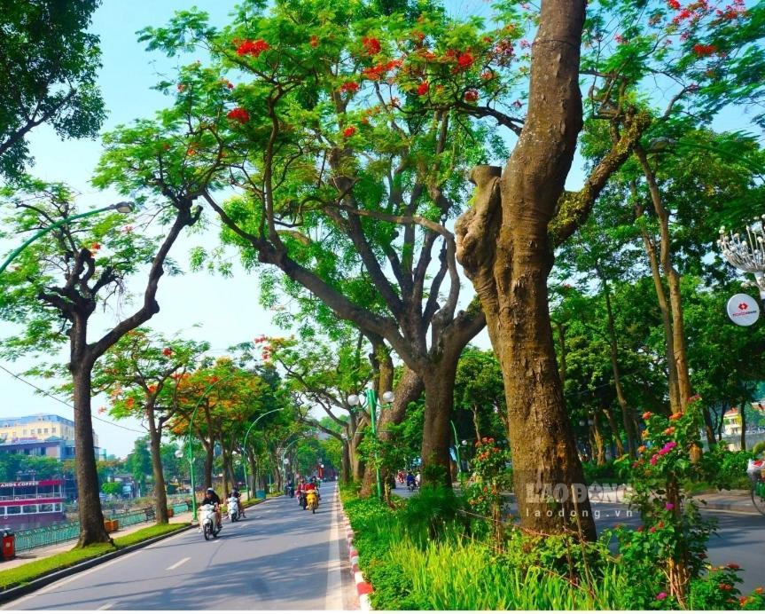 Da Tree Homestay Hanoi Exterior photo